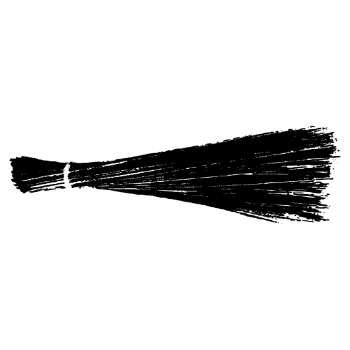 AAM AADMI PARTY BISFI BIHAR